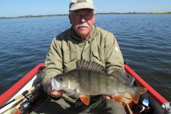 01-05-2009, Tissø, Aborre 1,334 kg, 46,0 cm, Jørgen Christensen