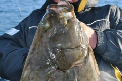 01-09-2013, Nordkapp, Norge, Helleflynder 25,000 kg, Jesper Andersen