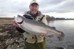 01-12-2017, Storebælt, Regnbueørred 3,900 kg, 55,0 cm, Erik Wilson