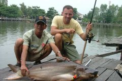 01-2006, Thailand, Giant Catfish, Mekong 23,000 kg, Christian B Andersen