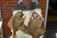 02-08-2011, Storebælt, Skrubbe 1,200 kg, 43,0 cm, Jesper Andersen