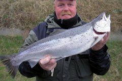 03-05-2011, Svensker kysten, Havørred 3,100 kg, Jesper Andersen