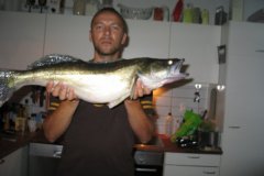 03-08-2010, Tystrup Sø, Sandart 4,600 kg, 80,0 cm, Jesper H Christensen