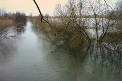03-2007, Store vandmasser generede fiskeriet i Tude Å i begyndelsen af marts