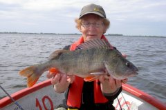 04-08-2012, Tissø, Aborre 1,300 kg, 47,0 cm, Lene Olsen 