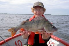 04-08-2012, Tissø, Aborre 1,300 kg, 47,0 cm, Lene Olsen