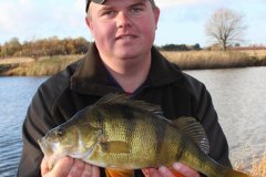 04-11-2012, St Vejle å, Aborre 1,180 kg, 42,0 cm, Michael Jæger Petersen