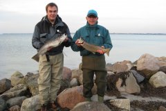 06-10-2009, Kurt Nøttrup ca 2 kg og 56 cm og Leif Jensen 1,725 kg og 52 cm med hver sin havørred fanget med ca 1 times mellemrum
