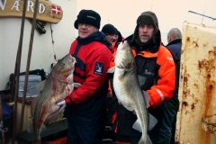 07-02-2009, Øresund, Torsk 14,000 kg, Christian Hansen