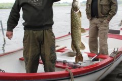 08-05-2012, Jens Peter Larsen fangede en gedde på knap 5 kg