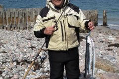 09-05-2009, Peer Hansen vandt foreningens interne hornfiskekonkurrence den 9 maj med disse 3 fine hornfisk