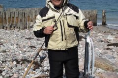 09-05-2009, Peer Hansen vandt foreningens interne hornfiskekonkurrence den 9 maj med disse 3 fine hornfisk