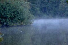 09-10-2004, Morgendis ved øen Studentersøen