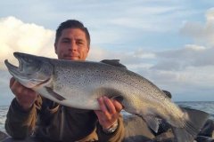 11-08-2016, Storebælt, Havørred 7,800 kg, 83,0 cm, Lars  Olsen