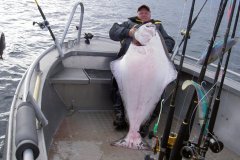 12-09-2012, Havøy Sund Norge, Helleflynder 65,000 kg, 158,0 cm, Jesper Andersen