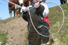 17-04-2012, Tude Å, Regnbueørred 2,400 kg, 59,0 cm, Asmus Kantsø