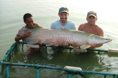 17-12-2008, Thailand, Arapaima 60,000 kg, Christian Andersen