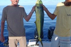 19-02-2012, Seychellerne, Guldmakrel Dorado 4,000 kg, Jes Hansen