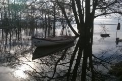 19-02-2016, Hvad er å og hvad er sø3F Her set fra ankerpladsen i Tissø, hvor søen i øjeblikket er ca 1,5 m over normalen, så husk waders