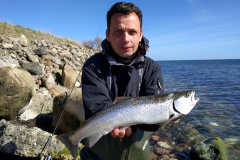 07-04-2020, Havørred, 50 cm., Kyst, Morten Kantsø