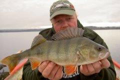 20-11-2010, Tystrup Sø, Aborre 1,000 kg, 44,0 cm, Jesper Andersen