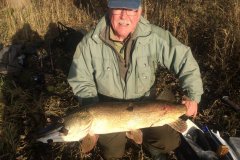20-11-2016, Dejlig morgen ved mosen, og en stærk fisk på 10,25 kg og 112 cm Huggede på en 18 gram Rotor spinder