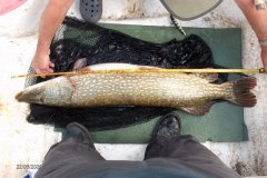 22-06-2009, Tystrup Sø, Gedde 11,400 kg, 114,0 cm, Kenneth Rosenby