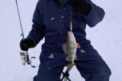 23-02-2010, Tystrup Sø, Aborre 0,505 kg, Jesper Andersen