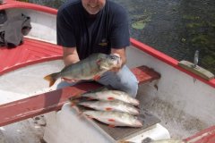 24-07-2009, Erik Wilson med aborrer fra Tissø, hvor den største var på ikke mindre end 1433 gram