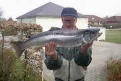 25-03-2017, Storebælt, Havørred 6,500 kg, 79,0 cm, Kuno Jørgensen