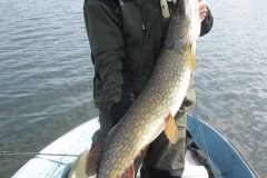 31-03-2010, Sydsjælland, Gedde 8,500 kg, 106,0 cm, Thomas Svare Nielsen