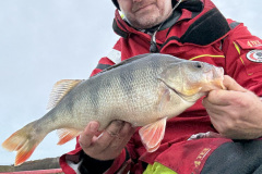 2025-12, Foreningsvand, Aborre, 1.480 gram, Klaus Vestergaard